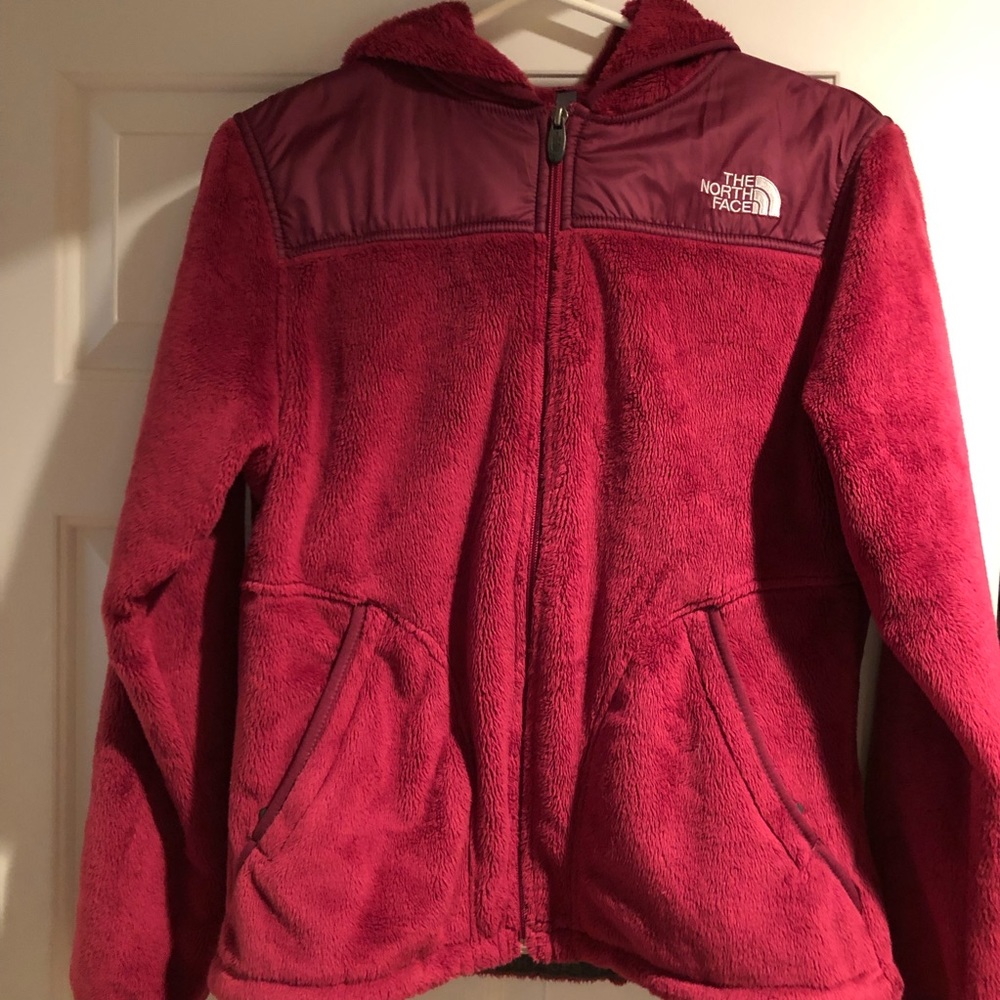 The north face jacket
